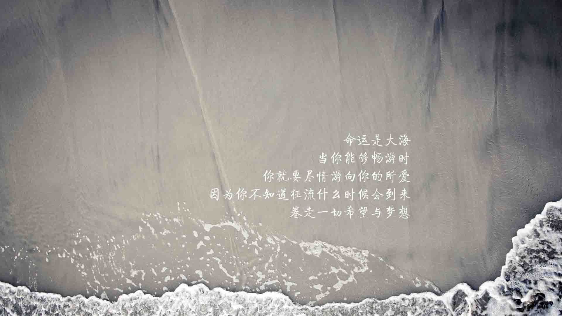 青少年足球“会跑、会抓、会传”基础能力培养成为行业新热点，青少年 足球