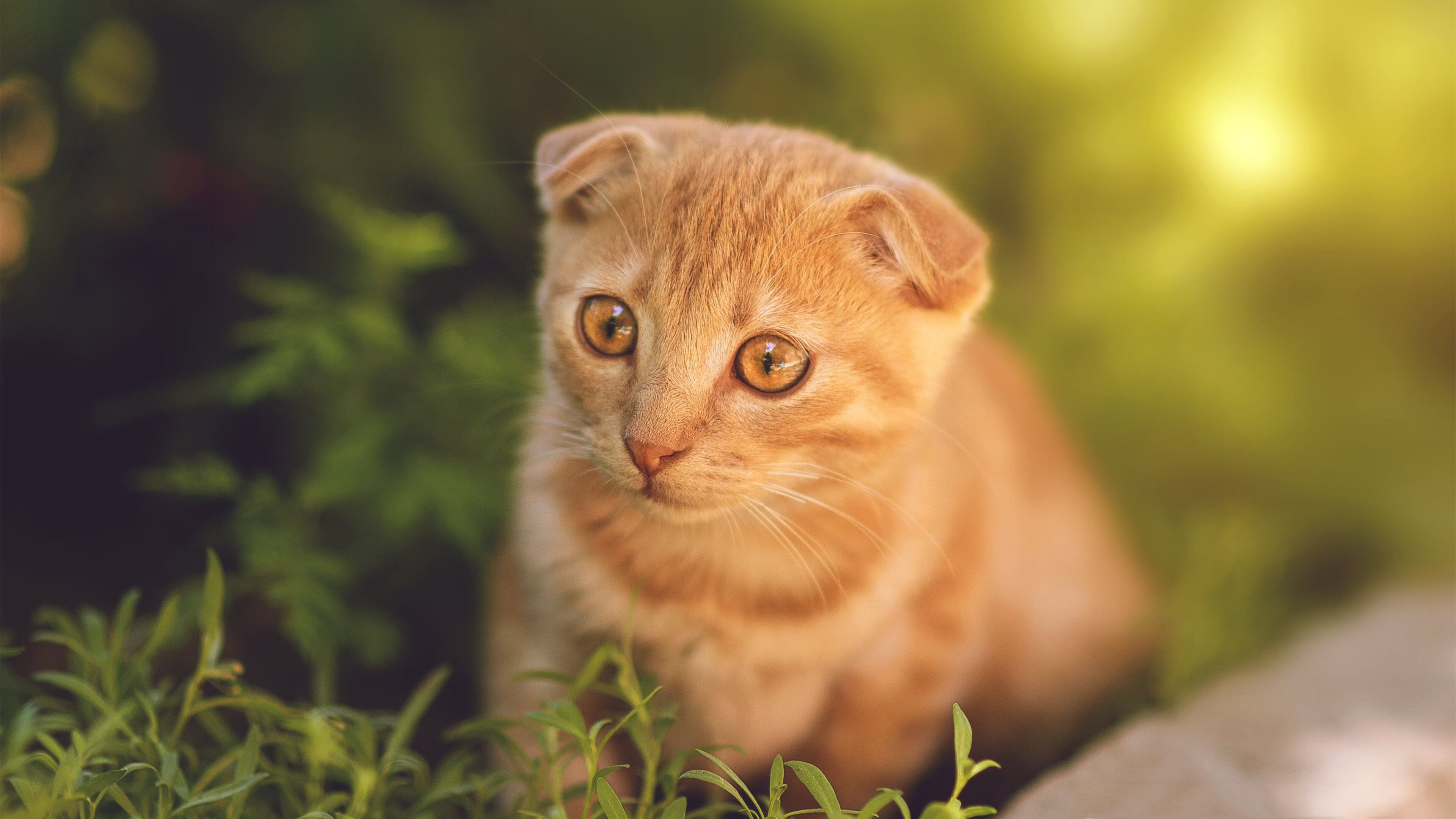 im体育官方平台-CBA青年球员迎来首秀 表现超出预期，cba青年联赛叫什么