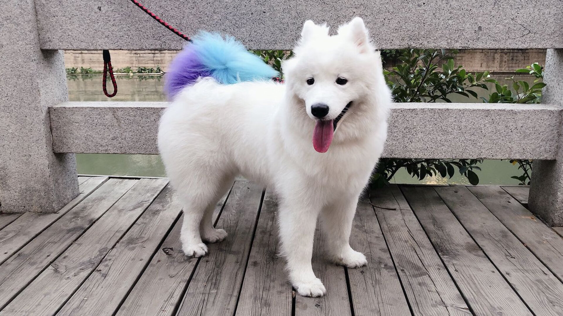 im体育-“武汉马拉松赛场：挑战自我，打破极限”