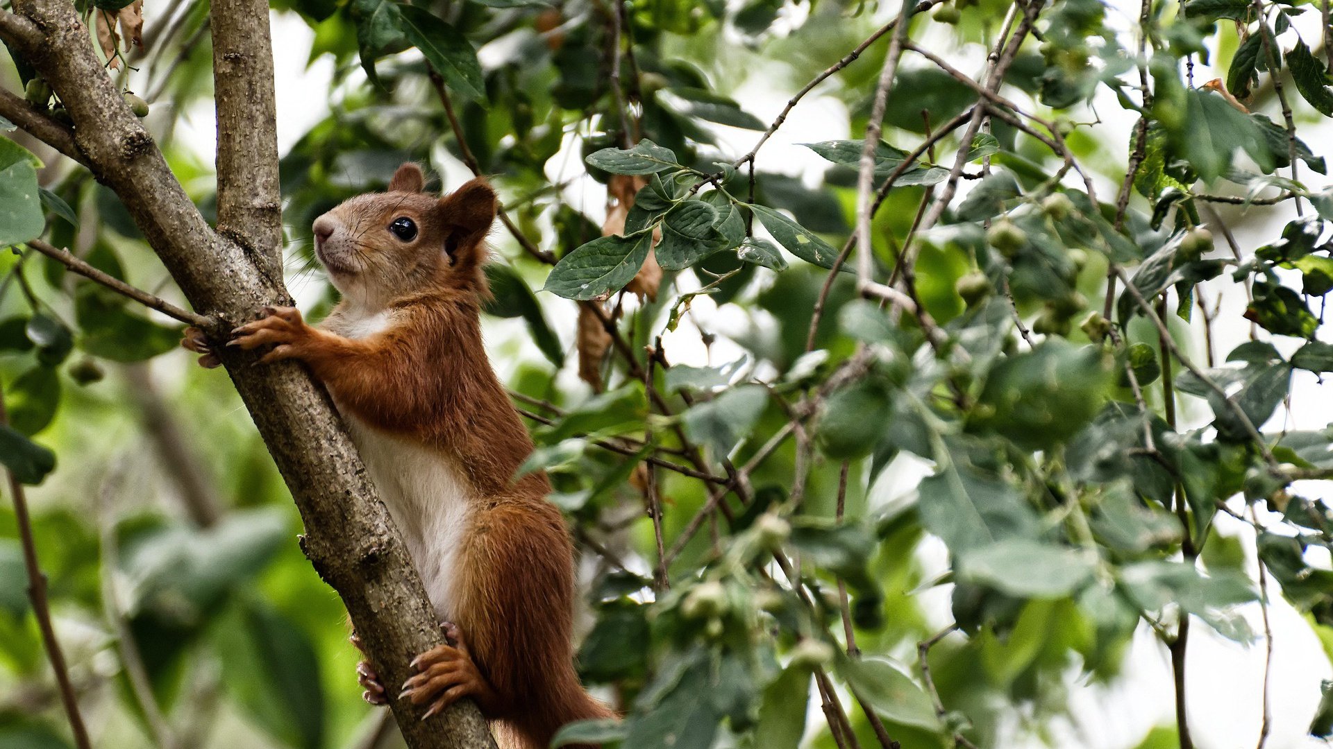 im体育官网首页-中国三人篮球女队提升快攻效率，中国三人篮球女队提升快攻效率了吗