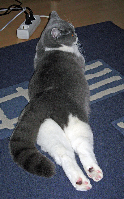 五大联赛前场压迫强度对场均控球权争夺的影响，足球压迫式防守