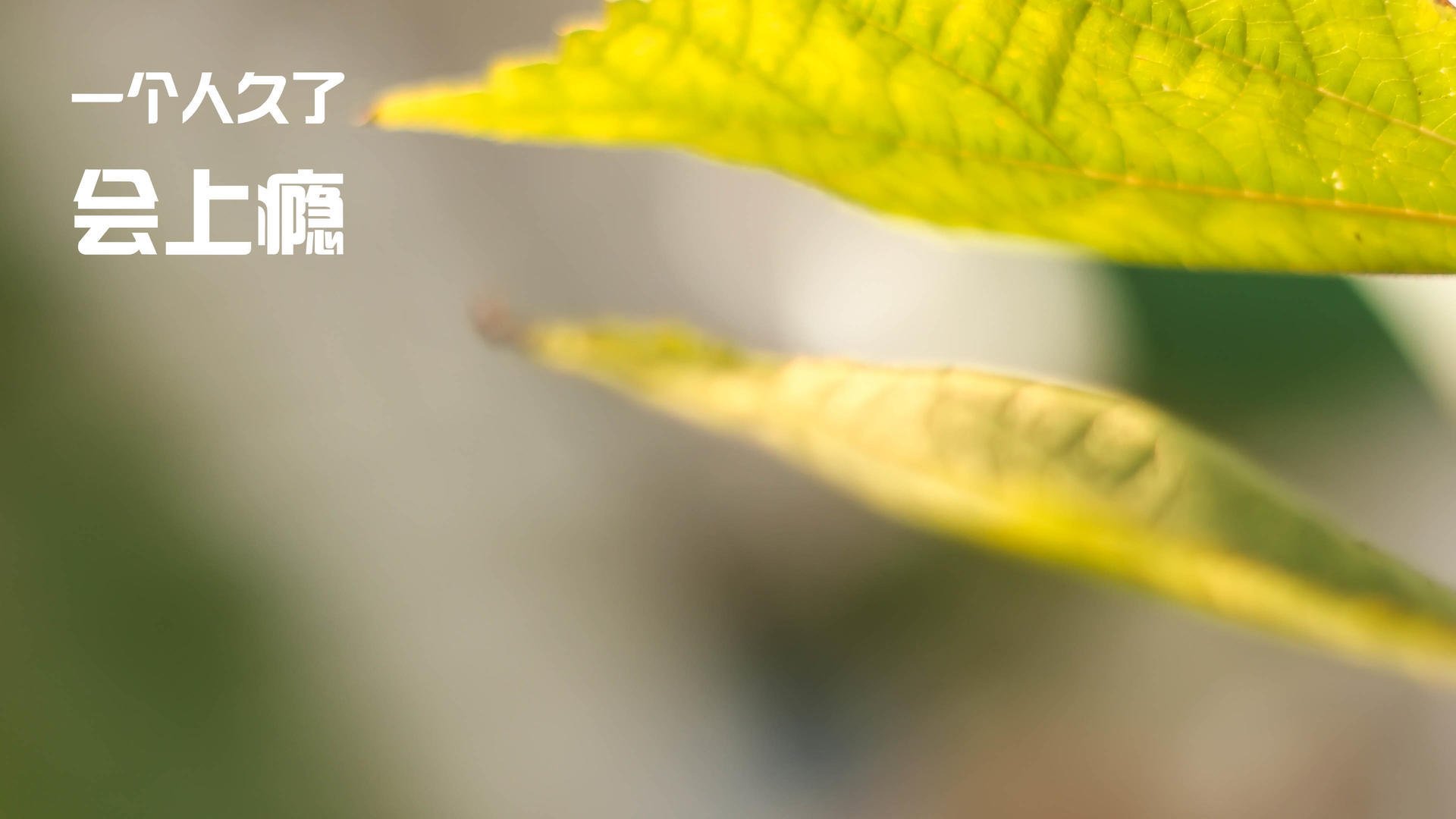 国家队选拔机制未整合数据化球员评分