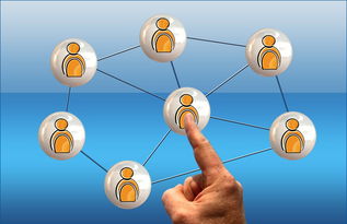 im体育最新安全APP下载-德国队与国际乒联混合团体世界杯赛制的互动与挑战，德国队乒乓