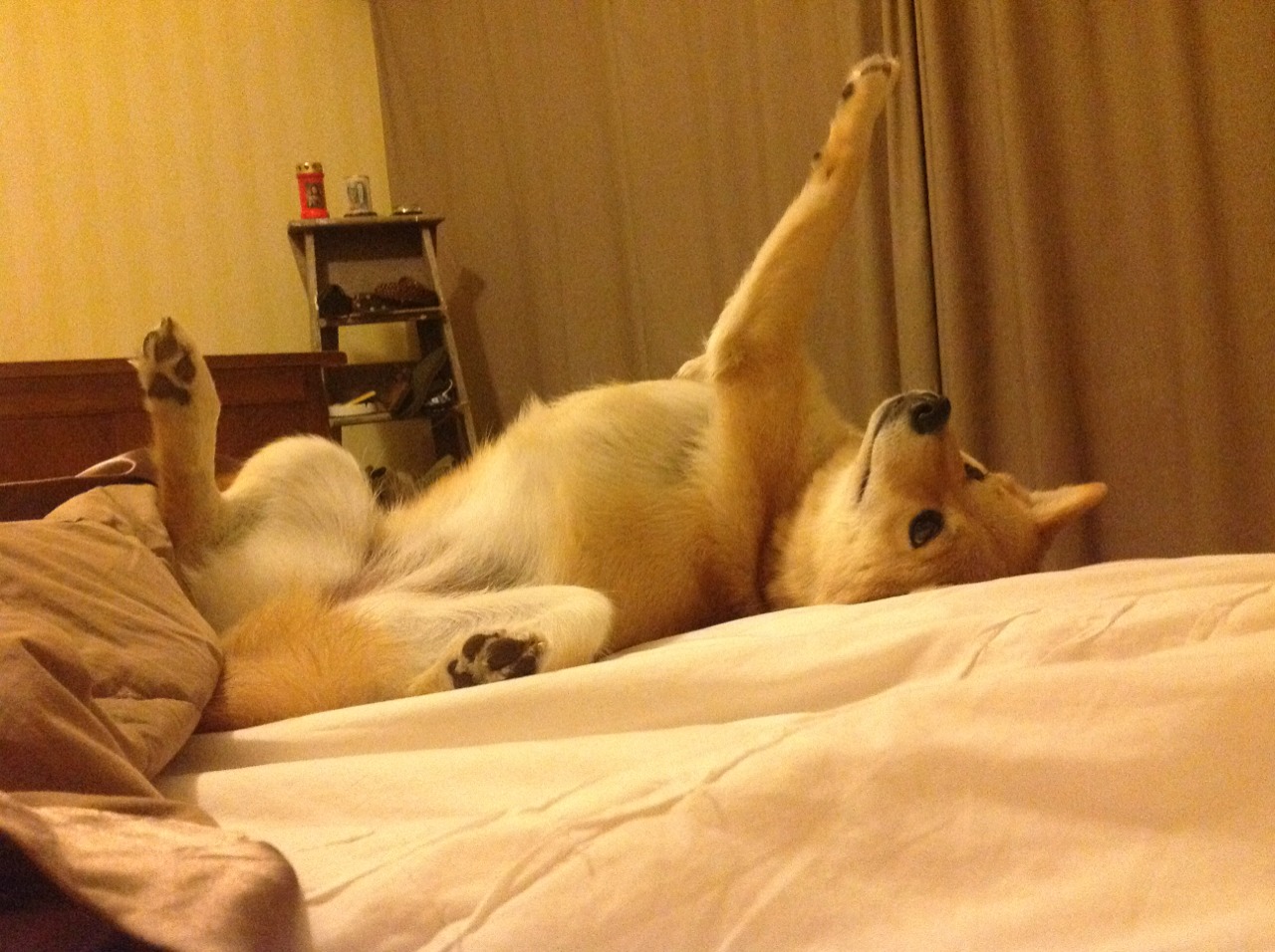 明星运动员形象影响力扩大，运动员成明星