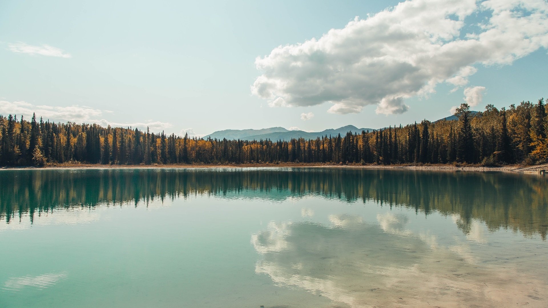 球员在高压节奏下如何降低失误风险，球员在高压节奏下如何降低失误风险