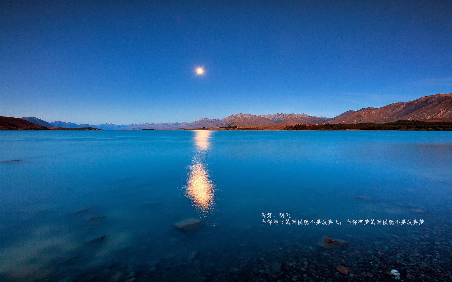 中国女排老将回归激发全队斗志和信心，中国女排的老将