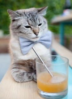 IM体育官方网站-足球教练战术培训提升，足球教练如何做好训练工作